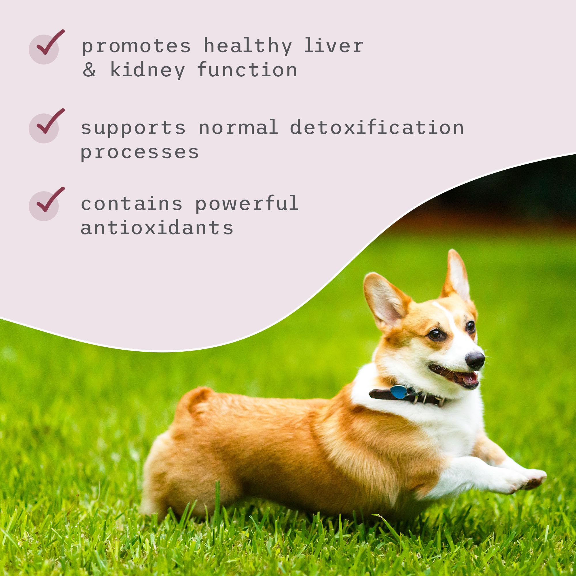 Bark & Whiskers Detox Support - Helps Support Healthy Liver & Kidney Function - Herbal Blend with Organic Milk Thistle & Green Tea - 1.8 oz - Image 5