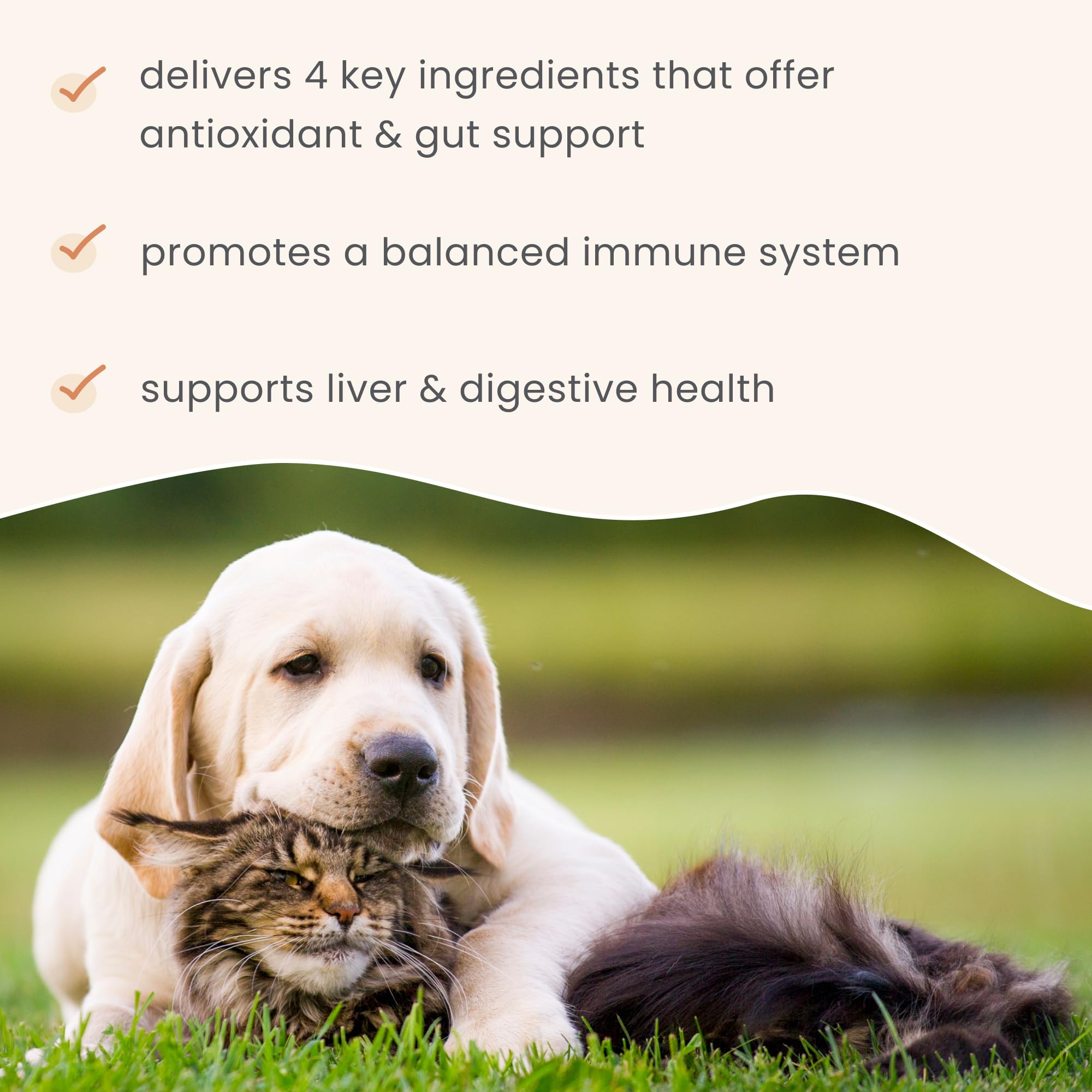 Dr. Mercola Bark & Whiskers Immune Support - Immune Health Support - Prebiotics - Colostrum - Moringa - Yeast Fermentate - 3.50 oz. (60 Scoops) - Image 5